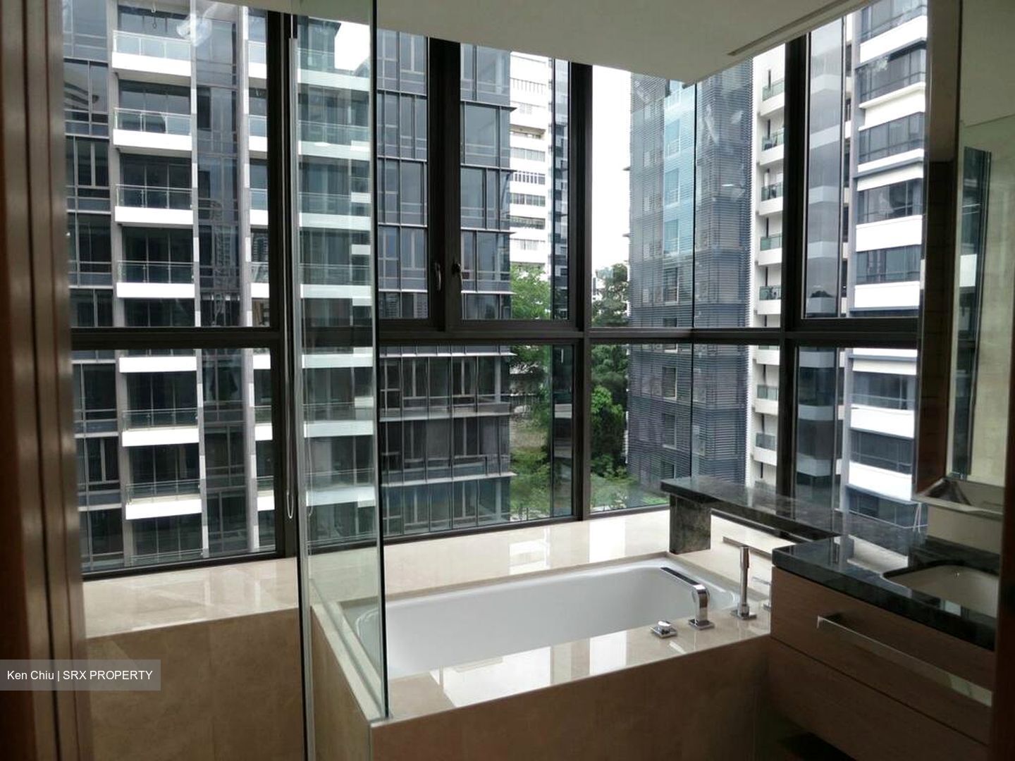 One Balmoral (D10), Condominium #477595891